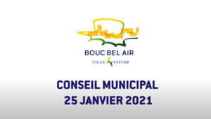 Conseil Municipal du 25 Janvier 2021