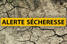 ARRÊTÉ PRÉFECTORAL Sécheresse 2023 dans les Bouches-du-Rhône